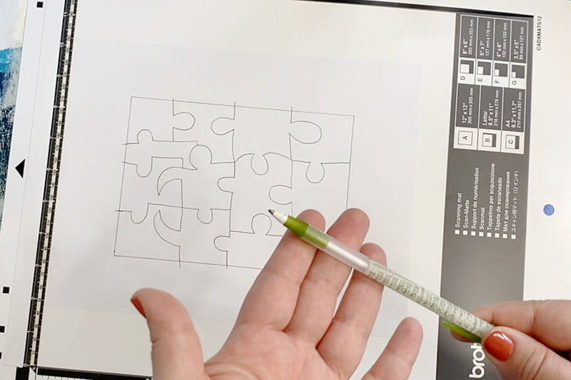 Showing pen for the project