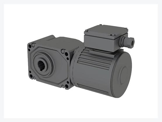 IPM Gearmotors