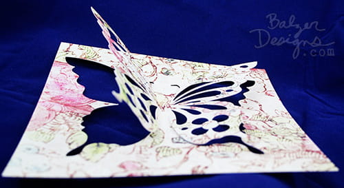 butterfly 2
