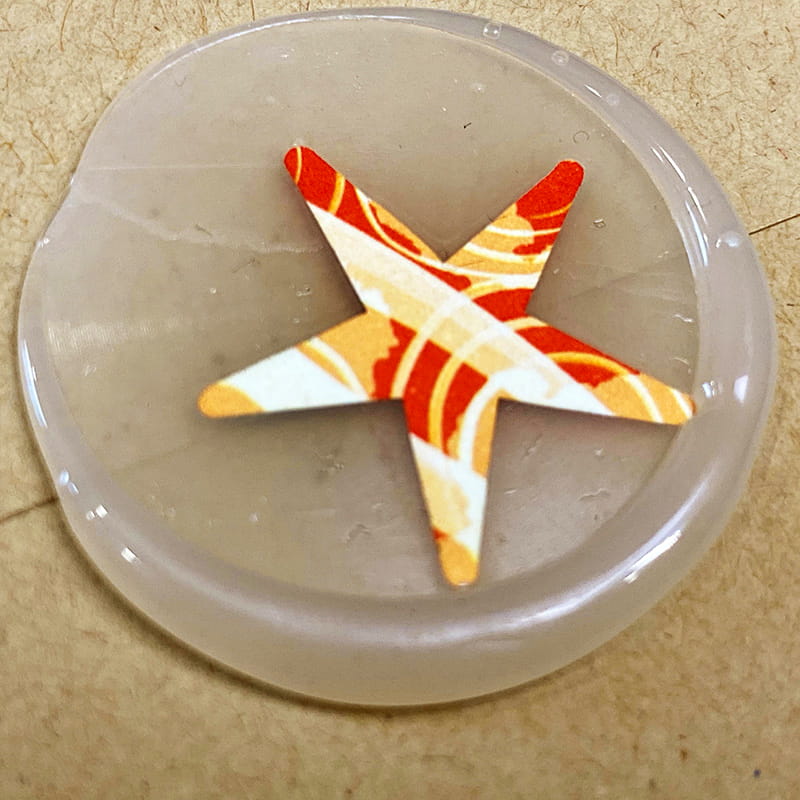 Star Seal Close Up