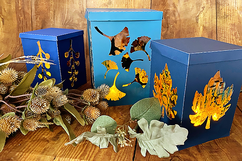 Boxes with cut outs