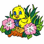 Easter basket-3600004-ibroidery-Chick