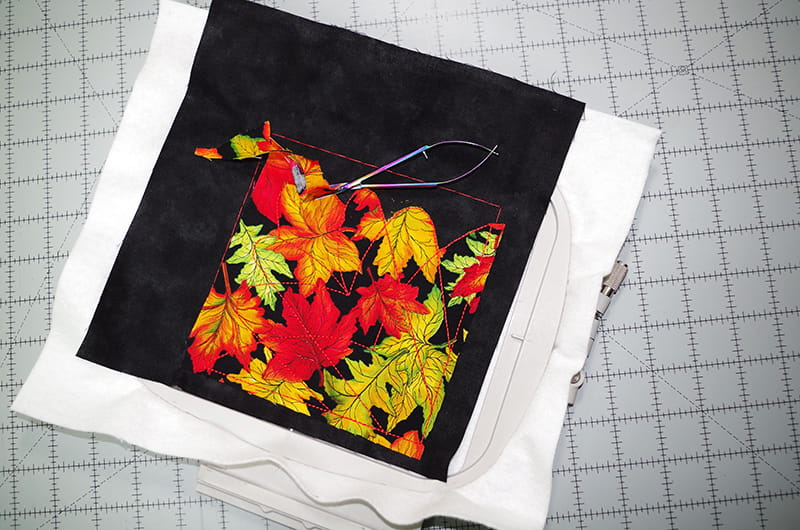 Trim Applique in Hoop Designs