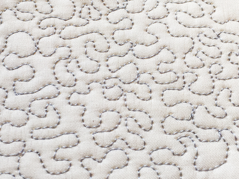Handy Hopping Feet THE Dream Quilter15