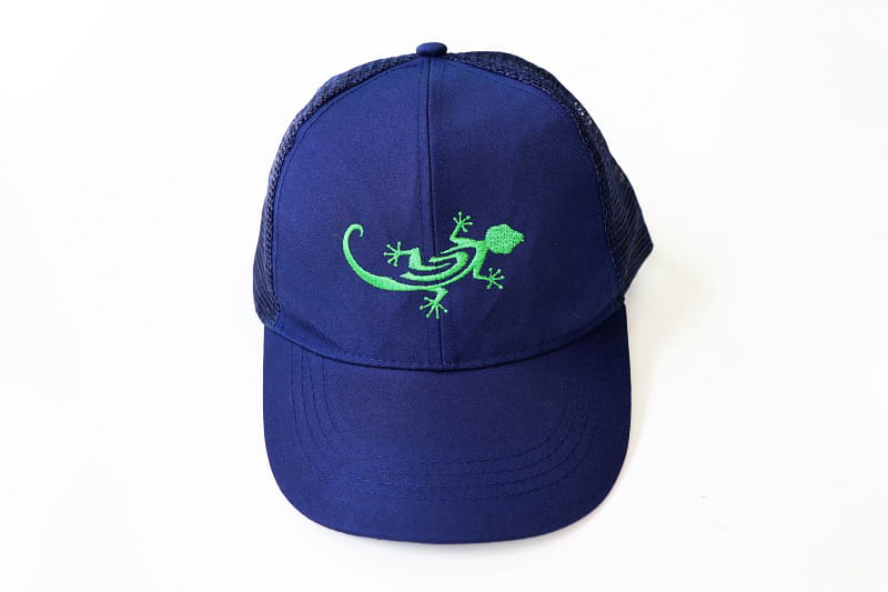 Embroidery Hat