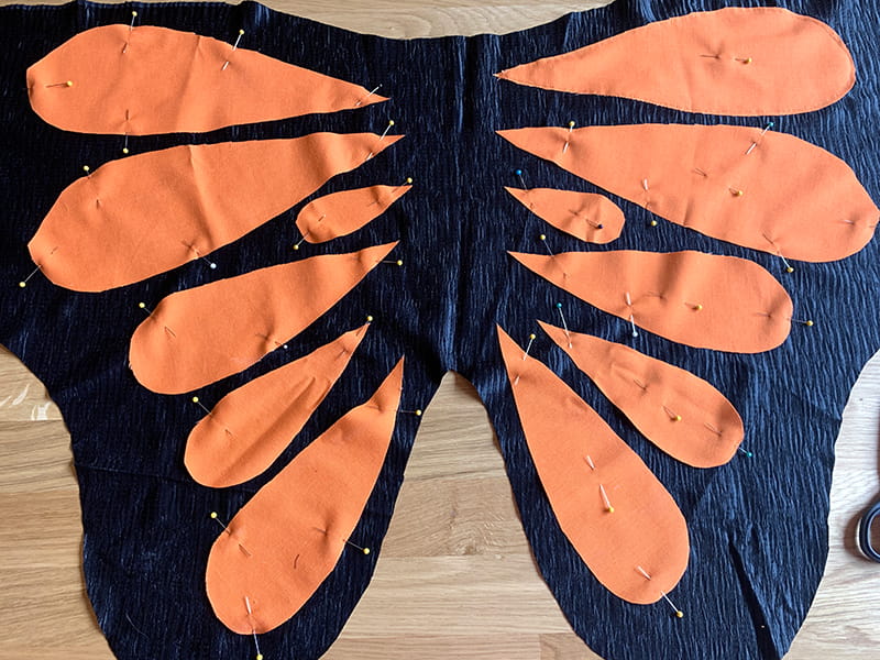 Wings pinned